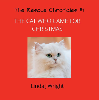 The Rescue Chronicles