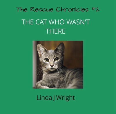 The Rescue Chronicles - The Cat Who Wasn't There