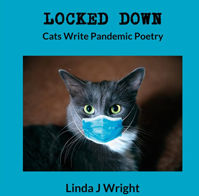 Locked Down: Cats Pandemic